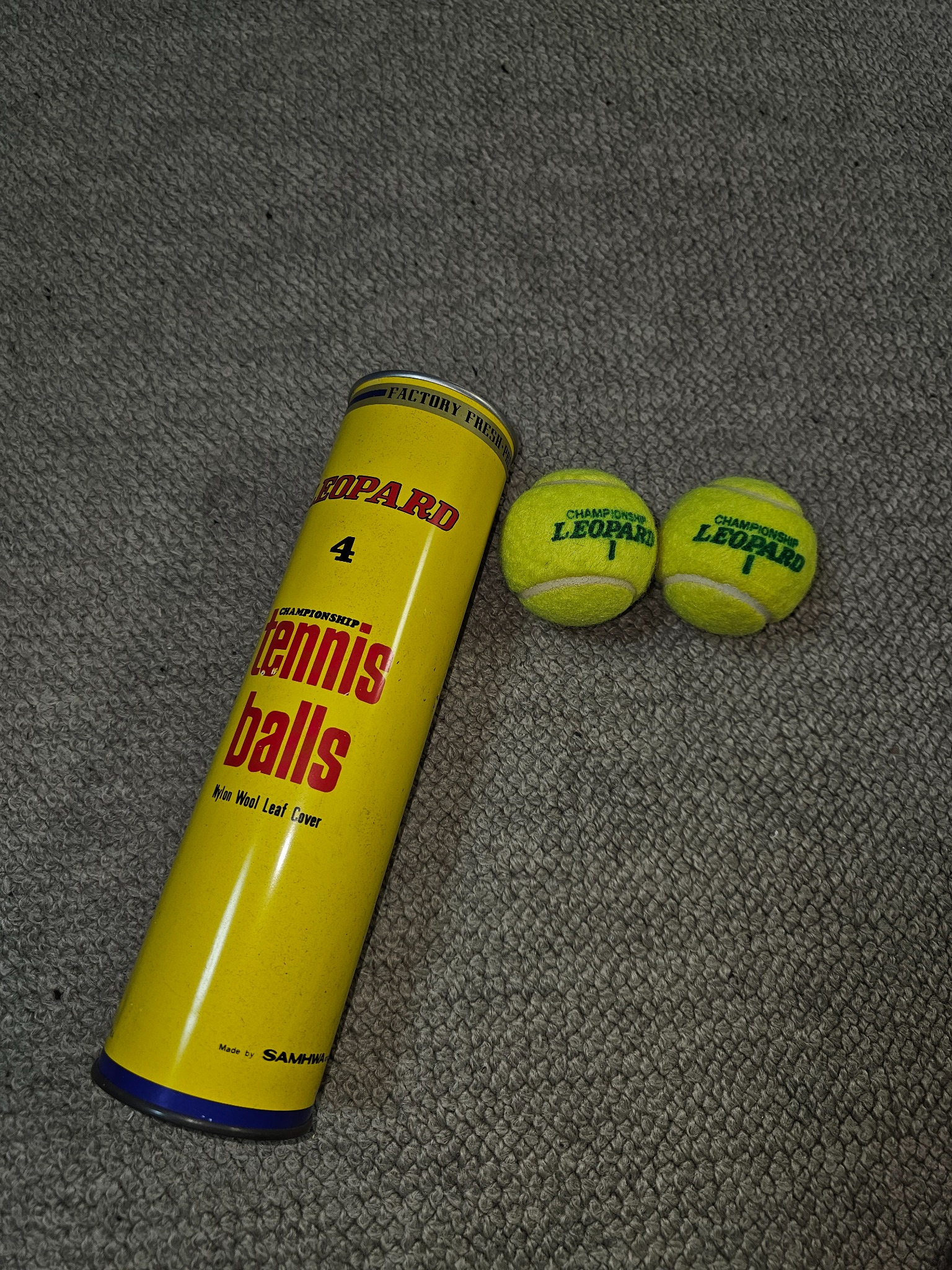 Leopard tennis ball can with balls from the Hanasaki house.