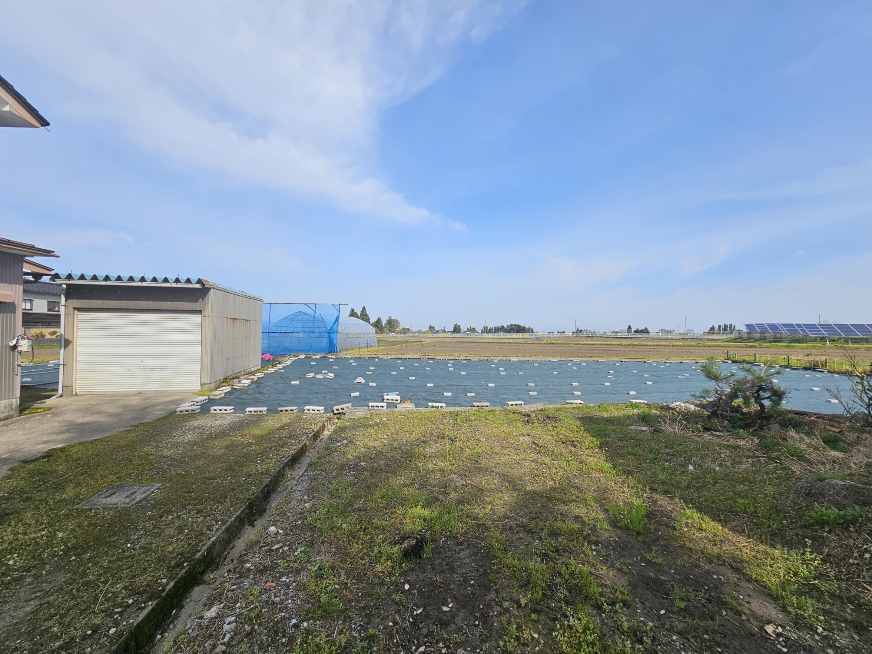 Wide open field behind the Hanasaki house.